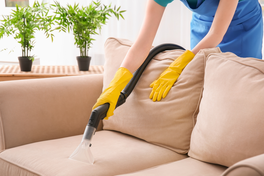 Sofa cleaning - Department of Dust